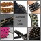 70 Sets Mixed Shape Spikes and Studs Assorted Sizes Spike Studs for Clothing Silver Color Screw Back Bullet Tree Studs and Spikes Rivet for Leather Craft Clothing Shoes Belts Bags Dog Collars